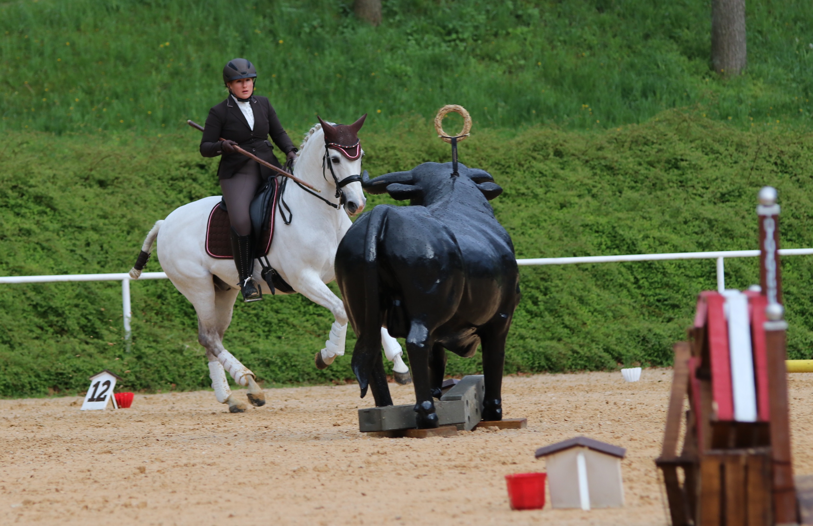 Results WAWE Qualifier Stadl Paura, Austria